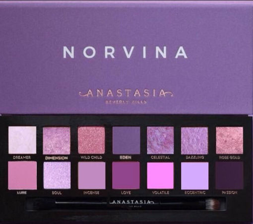 پالت سایه نوروینا مدل آناستازیا Norvina Anastasia Eyeshadow Palette